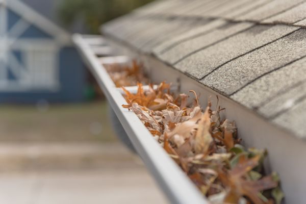 Leaf Barrier Installation in Evanston